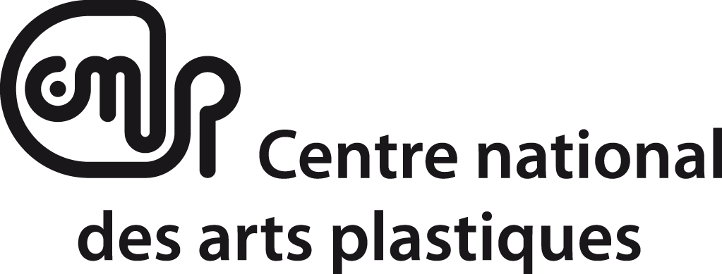 31 CNAP logo double ligne fond transparent 300 dpi